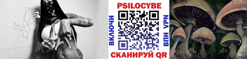 купить наркотик  blacksprut онион  Псилоцибиновые грибы MAGIC MUSHROOMS  Никольск 